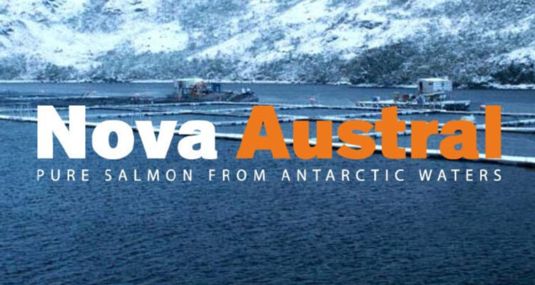 Bonistas afectados por deuda de salmonera Nova Austral incluye a familia Solari Donaggio