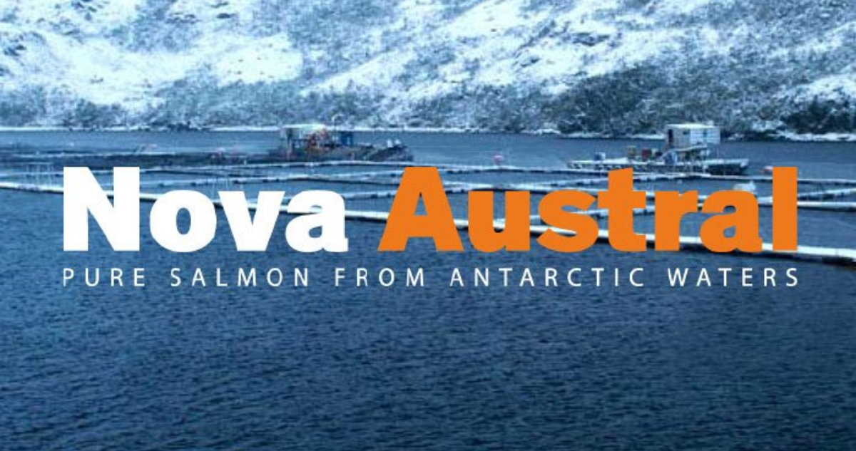 Bonistas afectados por deuda de salmonera Nova Austral incluye a familia Solari Donaggio