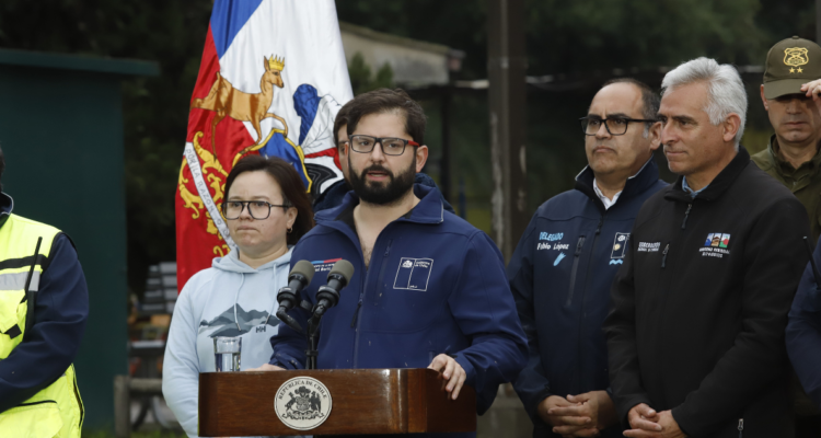 Boric Democracia Viva