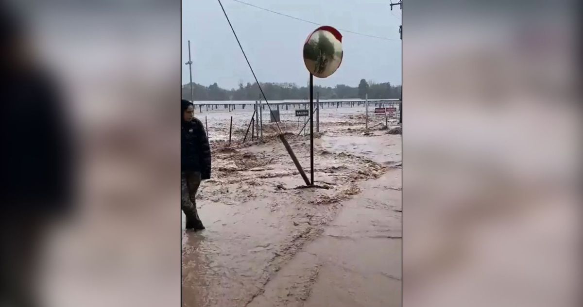 Corte en la Ruta 5 Sur, inundación de viviendas y otros estragos por desborde del río Tinguiririca