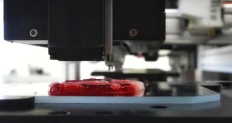 Carne impresa en 3D