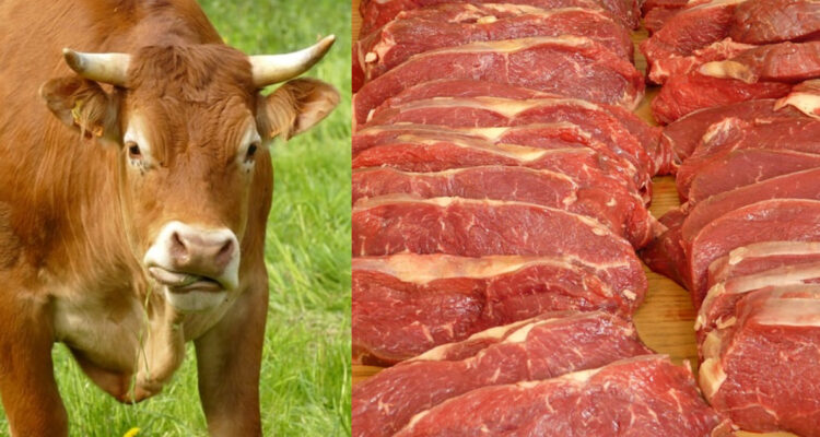 Controlar el consumo excesivo de carnes rojas podría ayudar a reducir las emisiones, dicen expertos