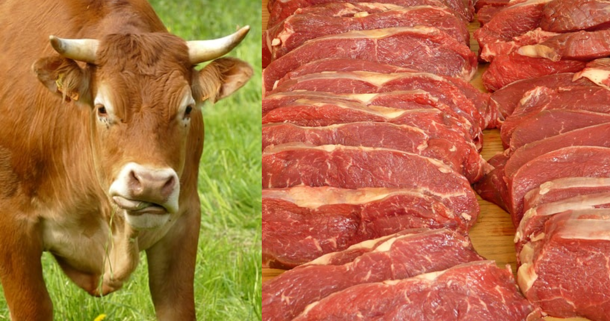 Controlar el consumo excesivo de carnes rojas podría ayudar a reducir las emisiones, dicen expertos
