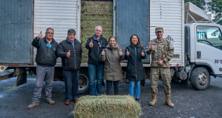 CMPC despliega plan para damnificados
