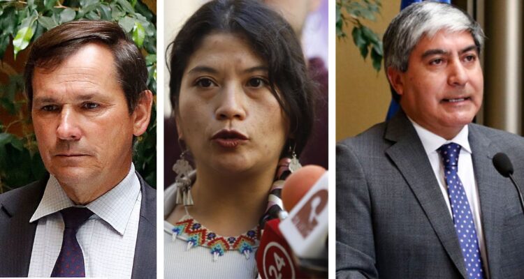 Diputados y autoridades de la región de la Araucanía tuvieron dispares reacciones ante la implementación de comision por la paz y el entendimiento