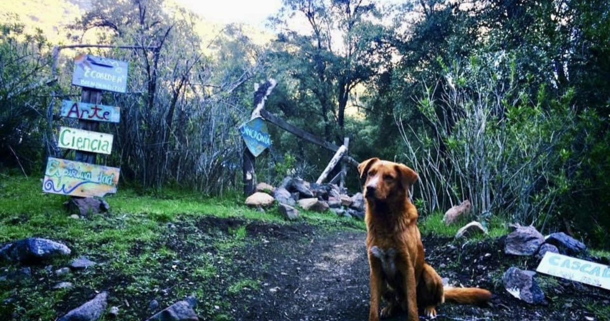 Acusan a dos miembros de comunidad por parricidio