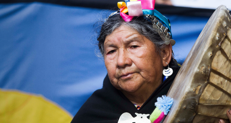 Conadi autoriza proceso de restitución de tierras a comunidades mapuche de Temuco.