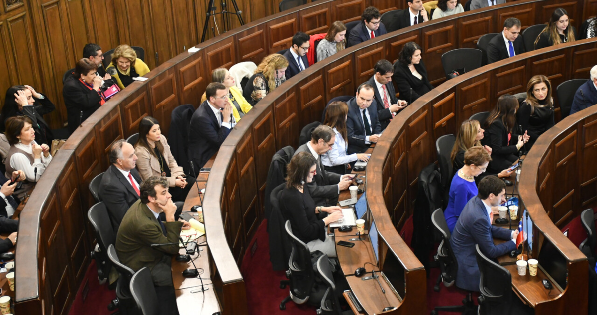consejo constitucional