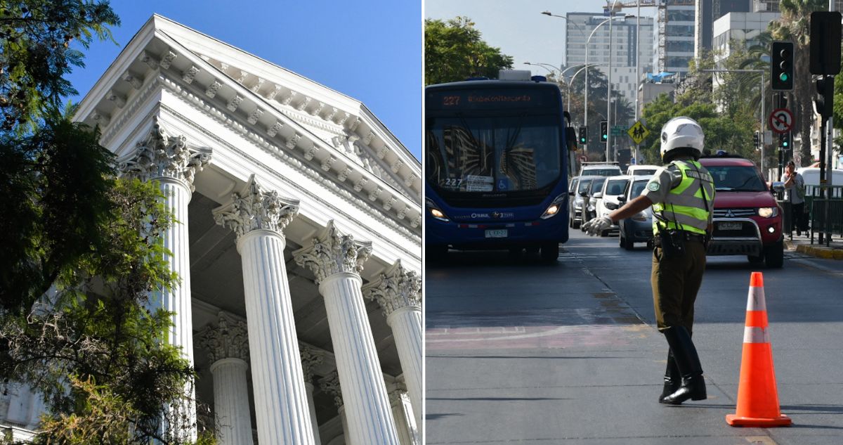 consejo constitucional