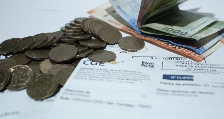 Diputados oficialistas valoran anuncio presidencial de eliminar tarifa de invierno en cuentas de luz