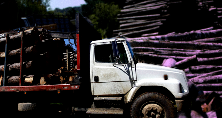 Qué es el Decreto 701: la normativa de 1974 que quiere derogar Boric y causa polémica en La Araucanía