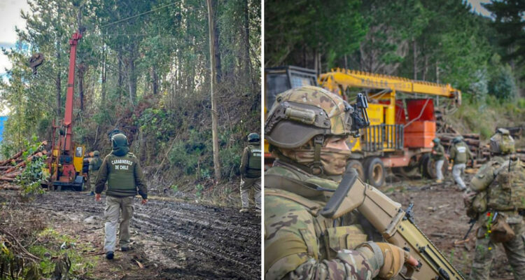 desmantelan-faena-ilegal-de-madera-canete-contulmo