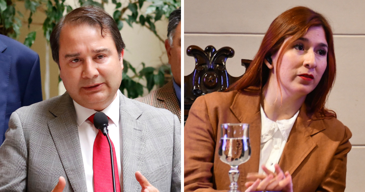 Diputada Pérez