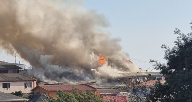 Incendio en Viña del Mar mantiene 2 casas completamente en llamas y amenaza otros 3 domicilios