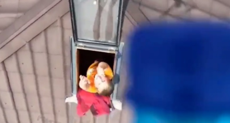 Niño esperando por una botella de agua