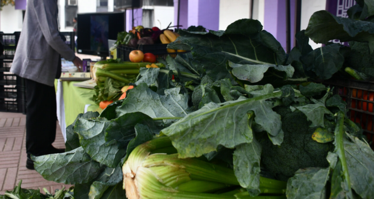 Economistas proyectan alza de precios tras lluvias