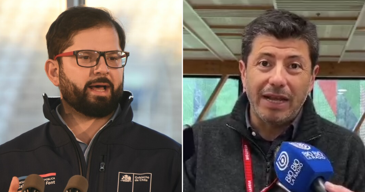 Empresa Arauco dice que decreto 701 no se usa hace más de 20 años tras llamado de Boric a derogarlo