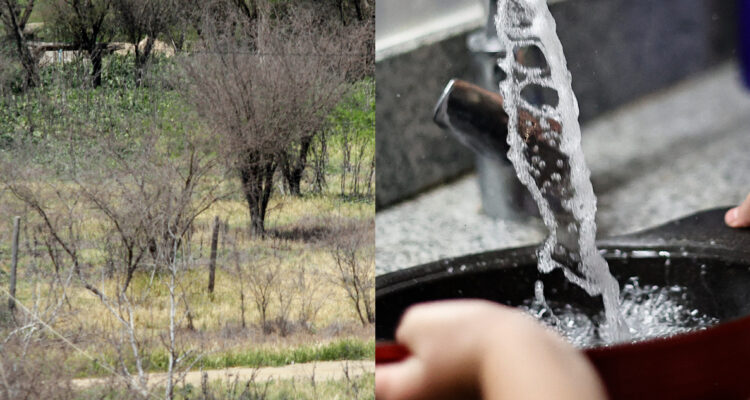 Contexto/ Agencia UNO