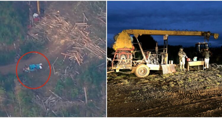 Faena de extracción ilegal de madera en Cañete