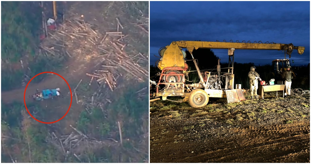 Faena de extracción ilegal de madera en Cañete