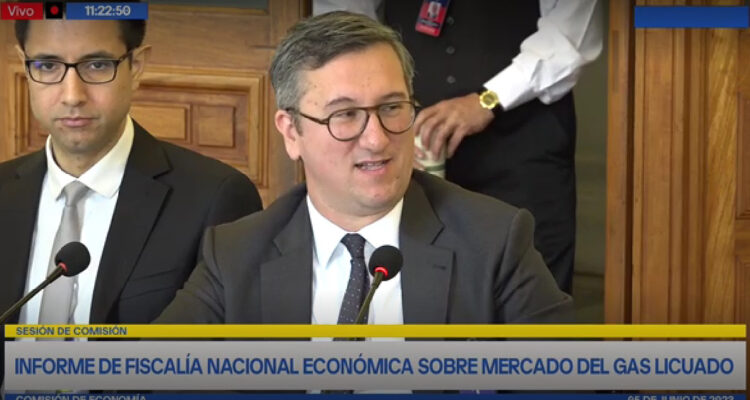 FNE asiste a Comisión de Economía del Senado para exponer su estudio sobre el mercado del gas