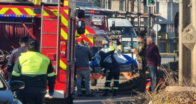 Hombre muere electrocutado en plena vía pública en San Antonio: habría estado podando una palmera