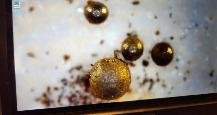 Astrónomo de Harvard asegura haber encontrado fragmentos de tecnología alienígena en un meteorito