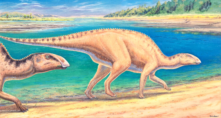 Presentan nuevo dinosaurio “pico de pato” que vivió en la Patagonia chilena, el ’Gonkoken nanoi’