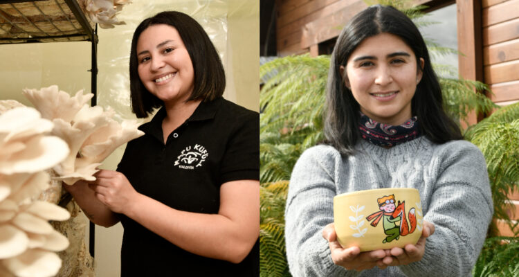 Grupo Saesa abre convocatoria de programa Mujeres con Energía