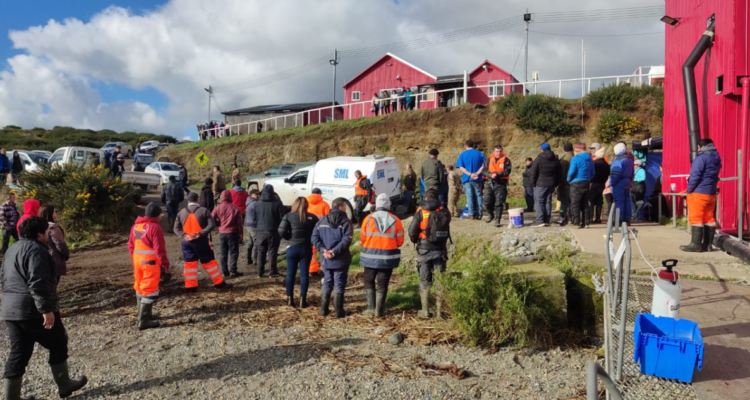 Hallan cuerpo de kayakista desaparecido en aguas del río Maullín