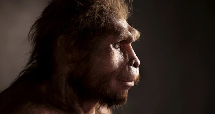 ¿Los humanos comían humanos en el pasado?: Estudio sugiere que especies ancestrales fueron caníbales