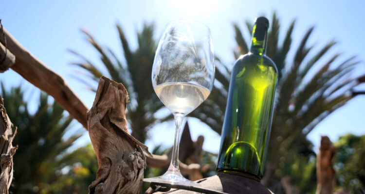 Indap apoya a productores de vino de pica