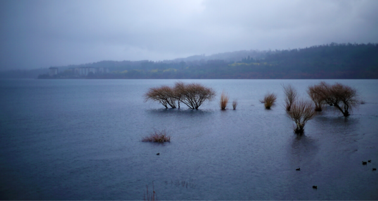 Lago Villarrica: científicos chilenos e italianos crean modelo predictivo por blooms de algas tóxicas