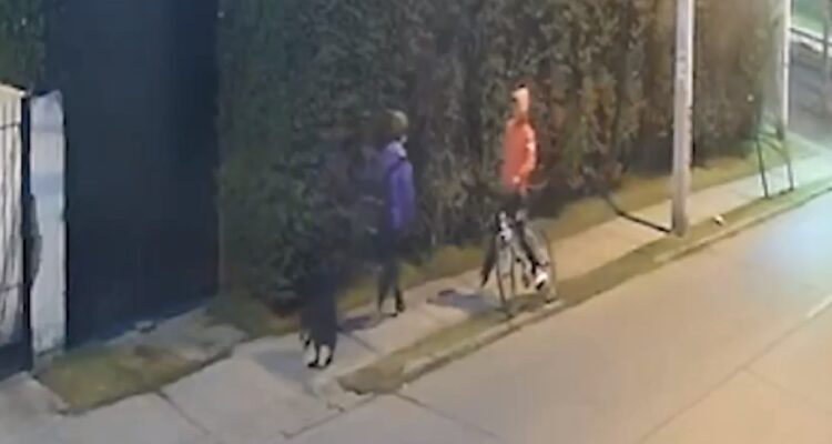 Se busca: denuncian a delincuente en bicicleta que actúa utilizando a un perro en Estación Central