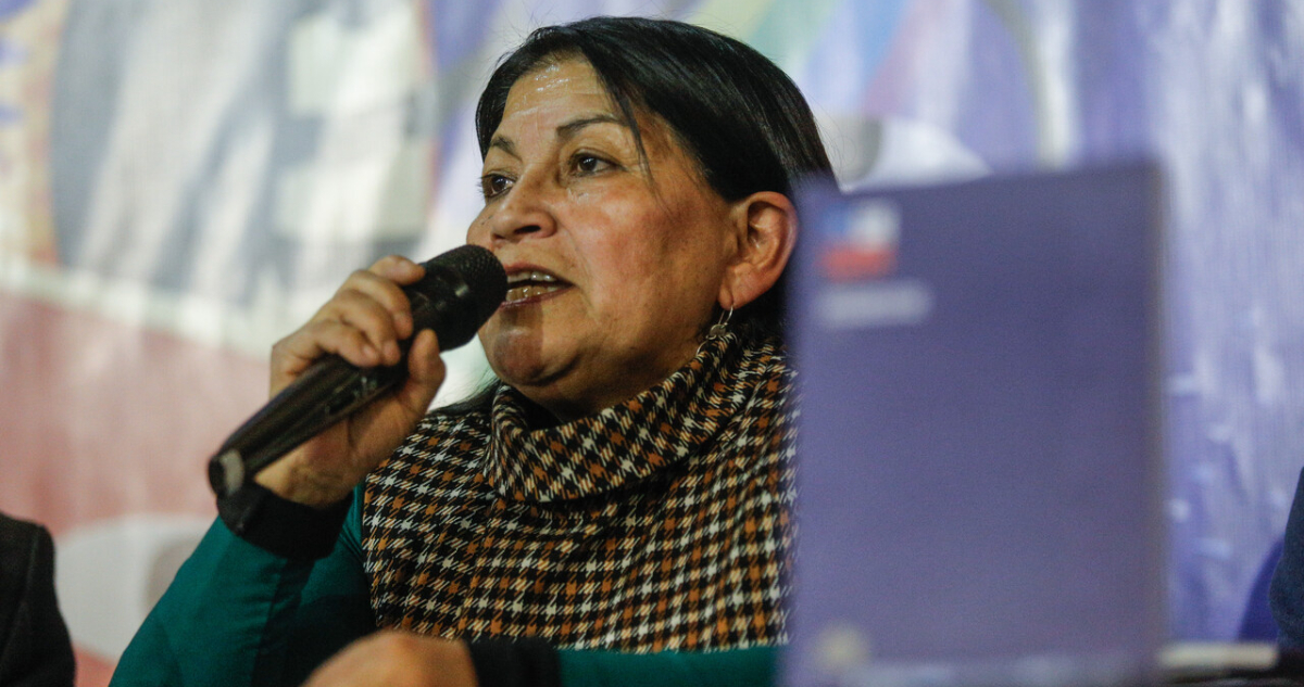 Diputado Irarrázaval irá a Contraloría por gira de Loncón durante año sábatico autorizado por la Usach