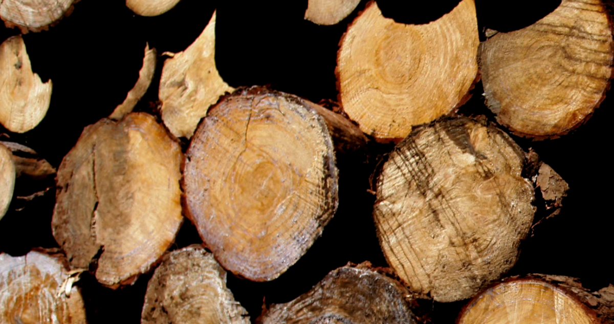 Madera