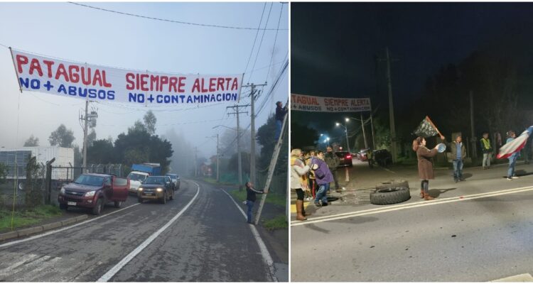 Vecinos manifiestan en ruta de la madera por lobos marinos enterrados en sector Patagual