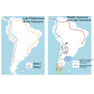 Mapa que rastrea a los ancestros del pueblo mapuche. 