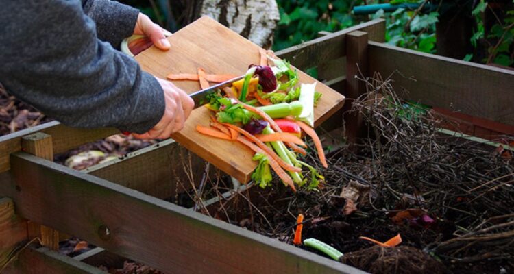 El compostaje será clave en este proyecto del Ministerio de Medio Ambiente