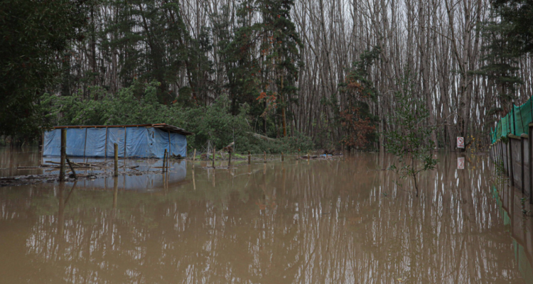 Minagri inicia gestión para ayudar a agricultores y apicultores del Bío Bío afectados por inundaciones