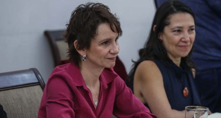 ministerio de seguridad pública