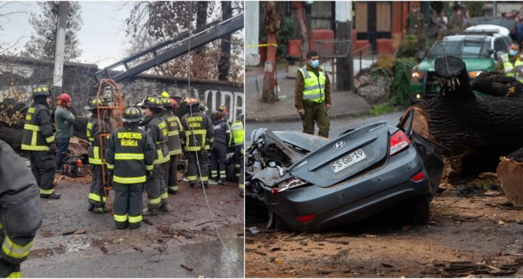 Mujer muere aplastada por árbol que cayó sobre su vehículo en Peñalolén