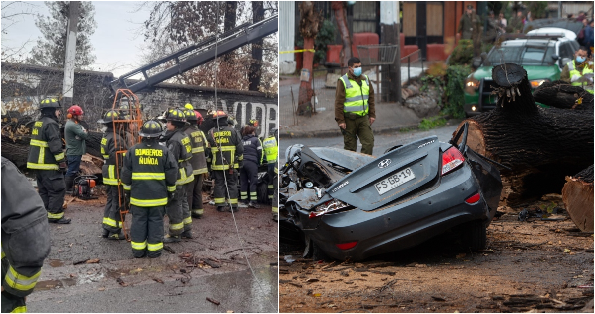 Mujer muere aplastada por árbol que cayó sobre su vehículo en Peñalolén