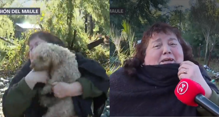 Mujer de Linares que se reencontró con sus perros tras inundaciones