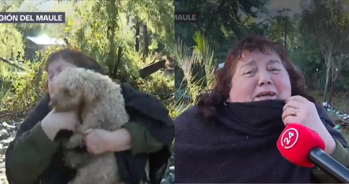 Mujer de Linares que se reencontró con sus perros tras inundaciones