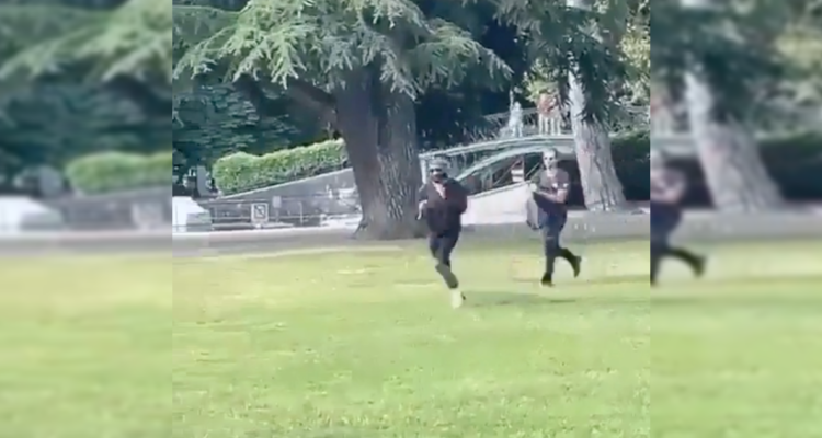 Apuñalan a cuatro niños pequeños y un adulto durante ataque en parque de Francia