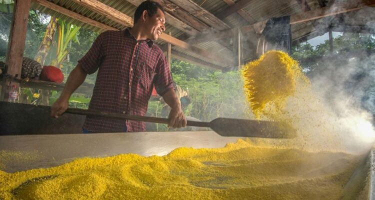 La fariña es un alimento saludable