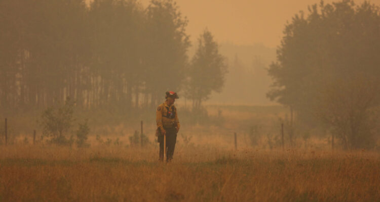 Ola de incendios en Canadá: 441 siniestros se mantienen activos por efectos del cambio climático