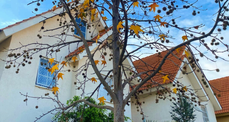 ¿Pagas contribuciones por tu vivienda?: Alertan que está por vencer el plazo de la segunda cuota