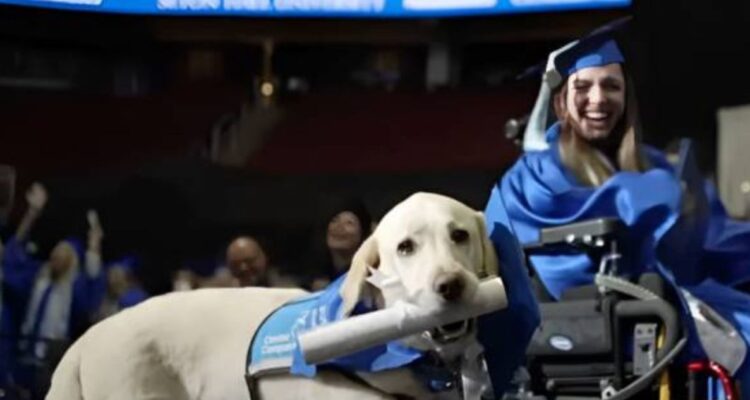 El perro guía Justin consiguió un diploma